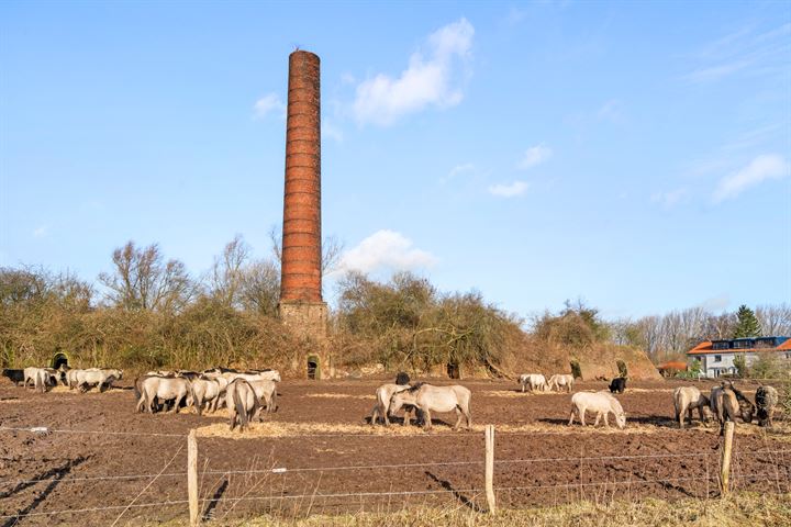 Bekijk foto 57 van Blaauwe Kamer 10