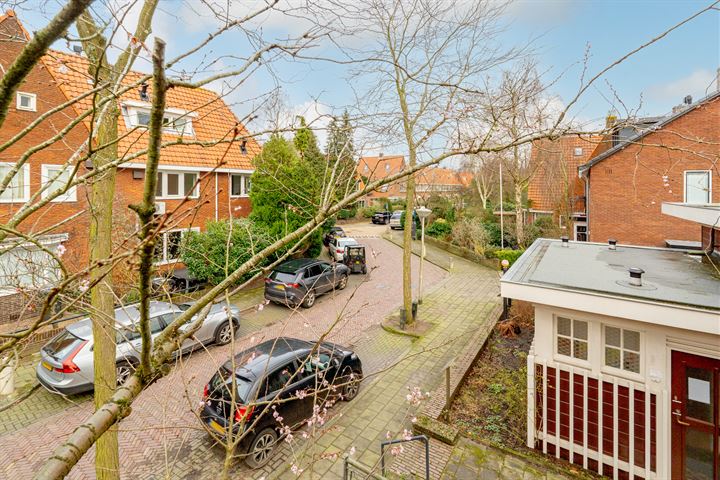 Bekijk foto 43 van Randwijcklaan 11