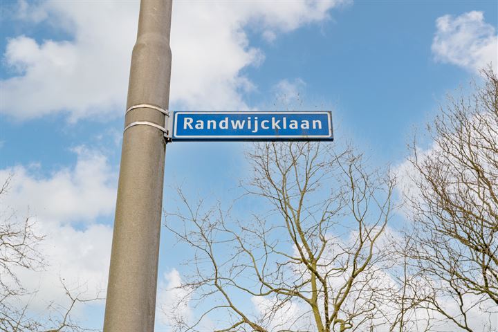 Bekijk foto 46 van Randwijcklaan 11