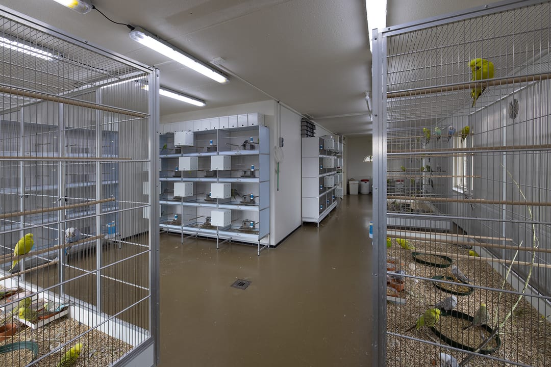 Foto 43 van Elburgerweg 13