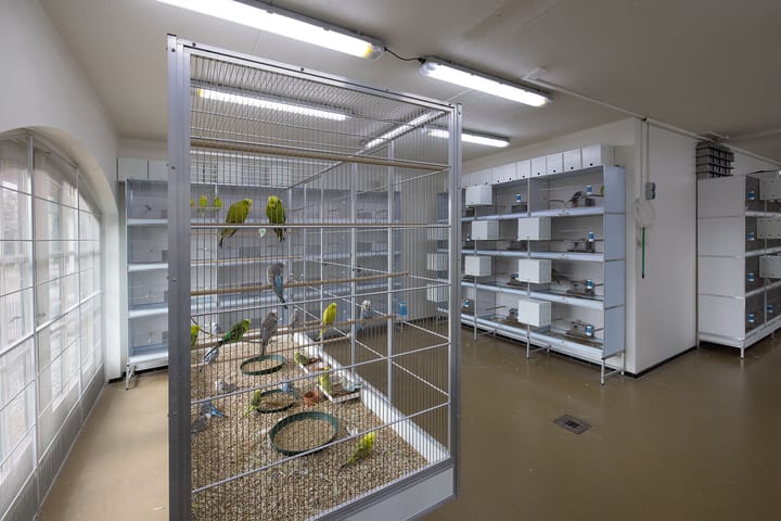 Foto 44 van Elburgerweg 13