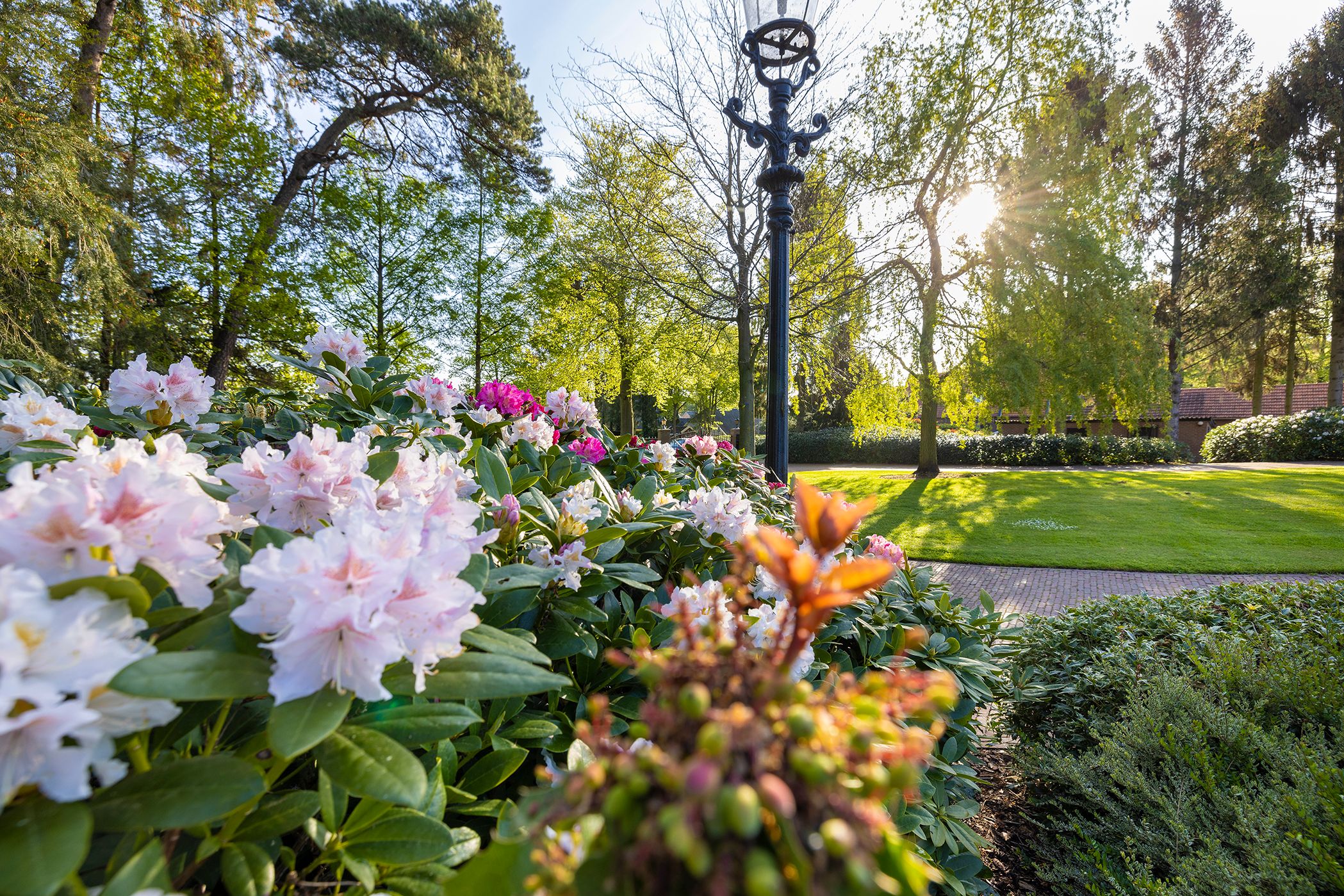 Foto 60 van Elburgerweg 13