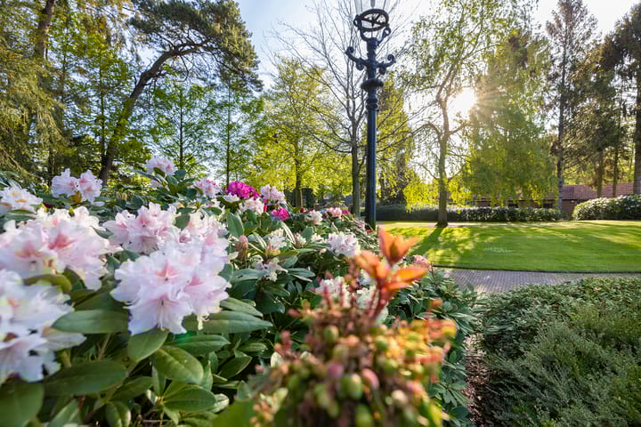 Foto 60 van Elburgerweg 13