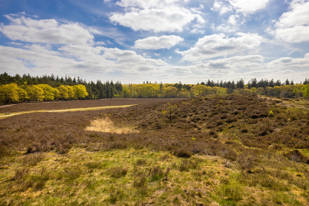 Foto 77 van Elburgerweg 13