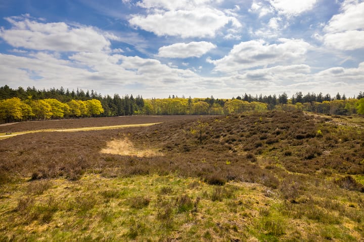 Foto 77 van Elburgerweg 13