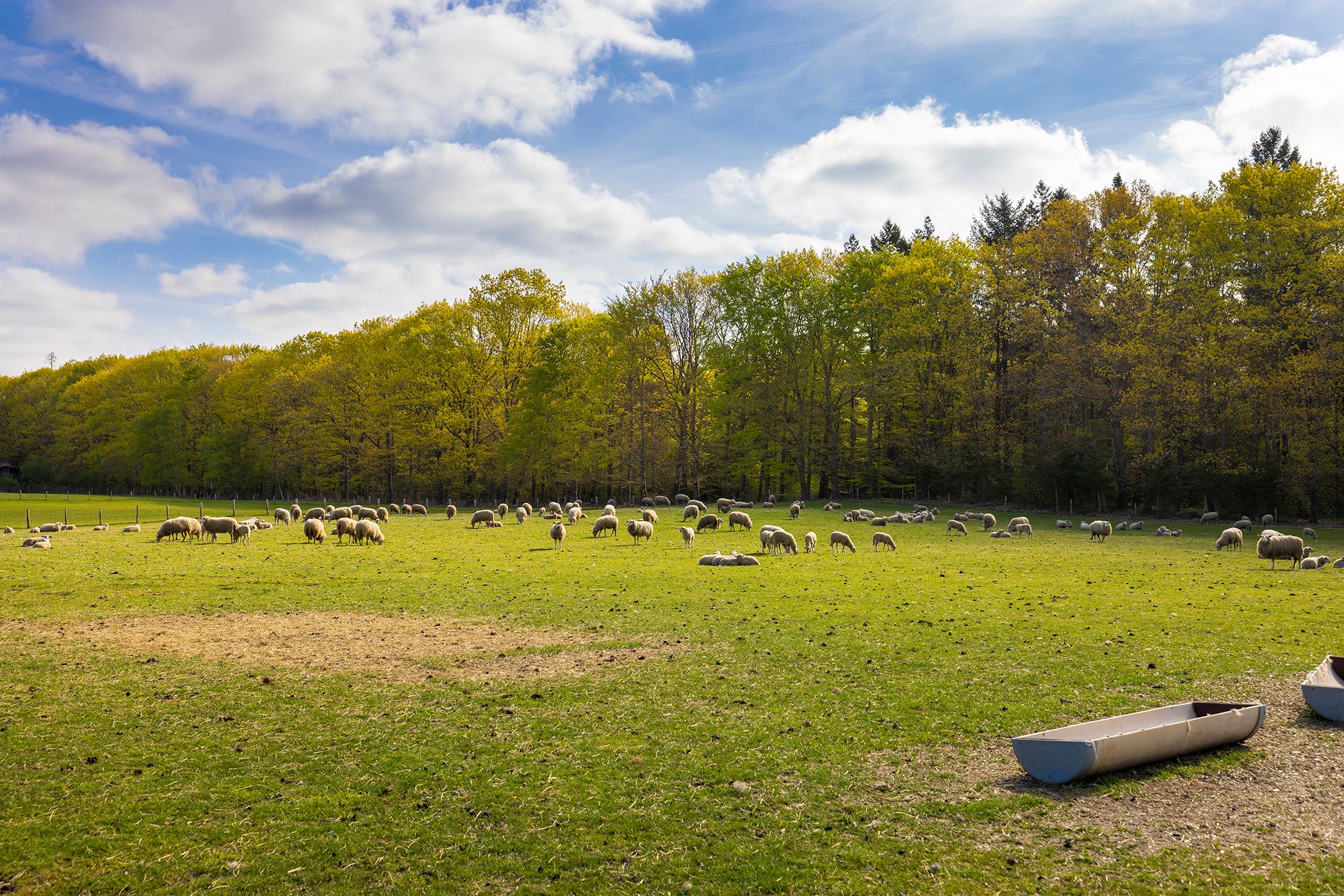 Foto 78 van Elburgerweg 13