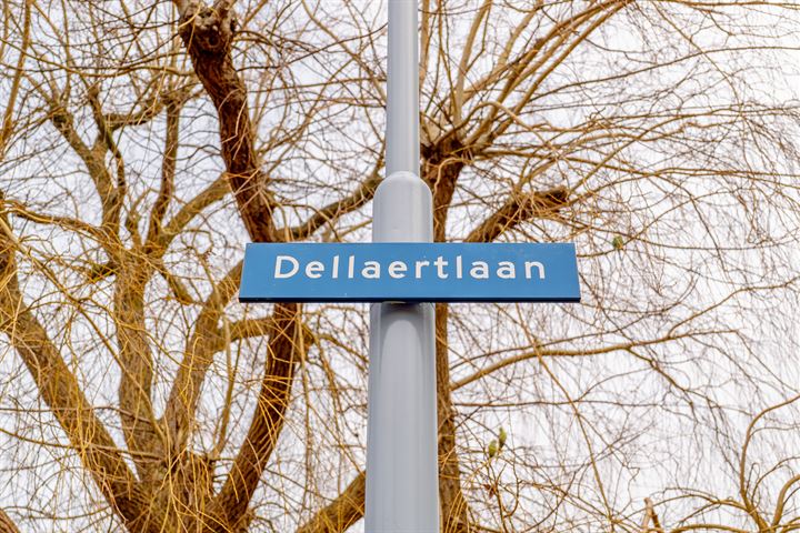 Bekijk foto 42 van Dellaertlaan 13