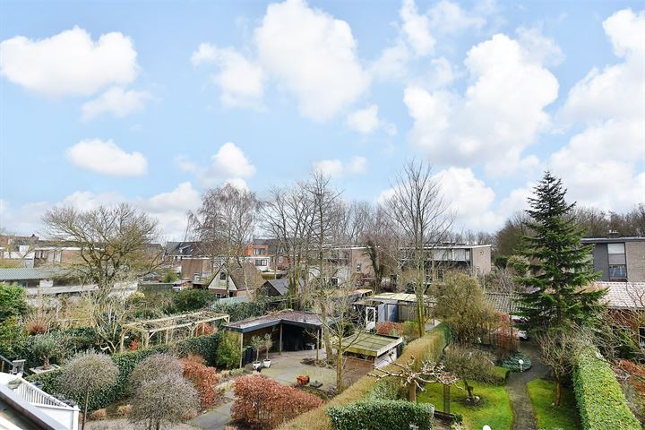 Bekijk foto 49 van Rodenrijseweg 321