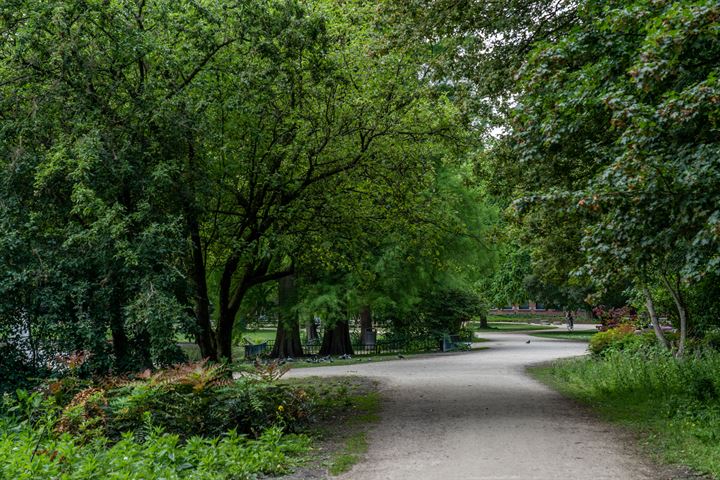 Bekijk foto 36 van Zaanstraat 278