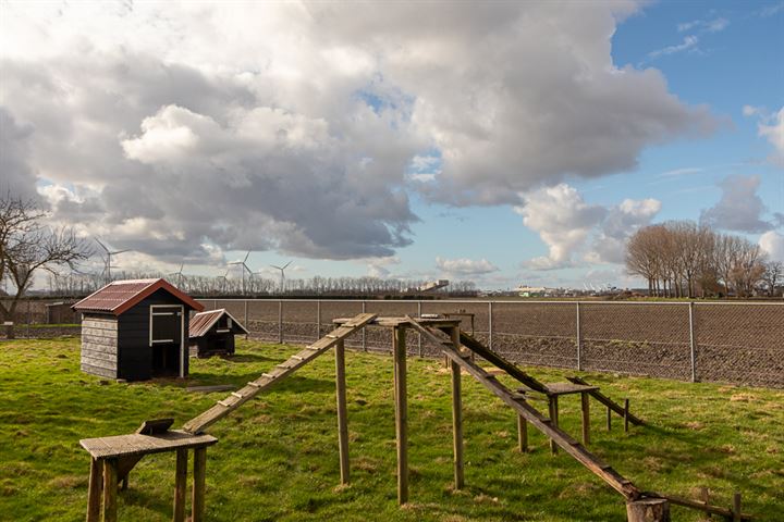 Bekijk foto 31 van Spui 64