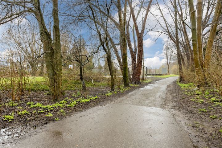 Bekijk foto 18 van Lentebloem 13