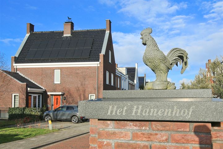 Bekijk foto 45 van Hanenhof 41