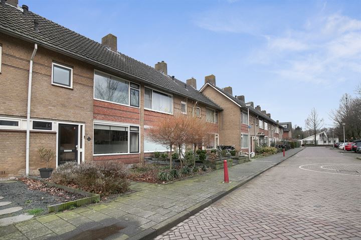 Bekijk foto 39 van Halewijnstraat 25