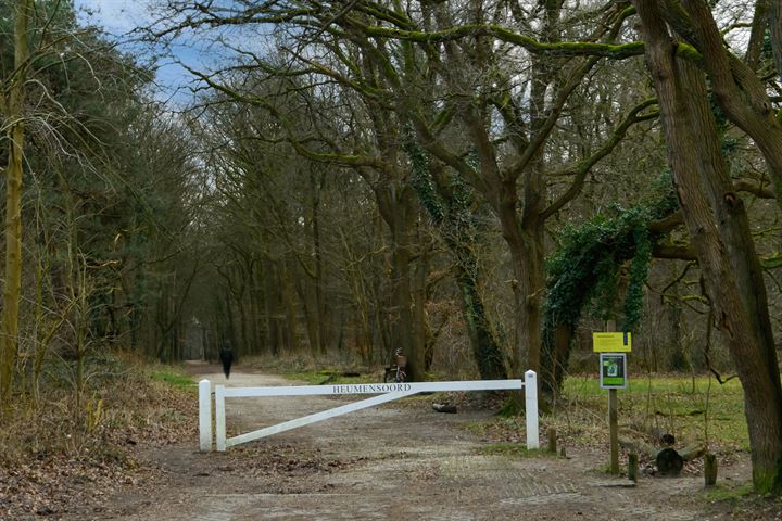 Bekijk foto 36 van Pastoor van Blitterwijckstraat 9