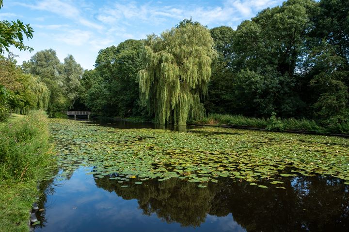 Bekijk foto 38 van Apollolaan 642