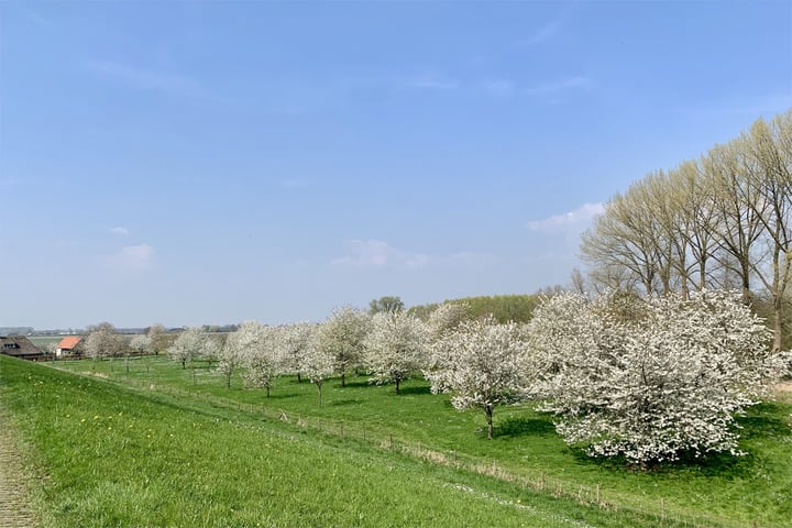 Bekijk foto 35 van Waalbandijk 110