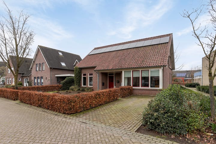 undefined main image