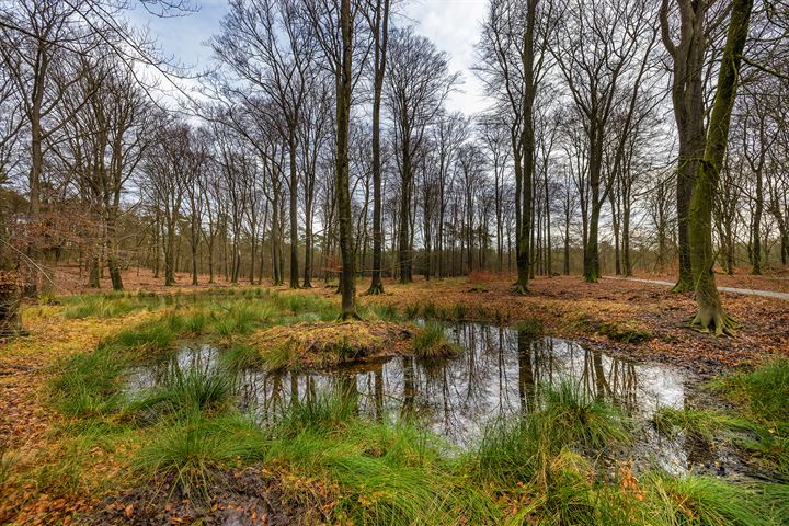 Bekijk foto 49 van Hanendorperweg 354