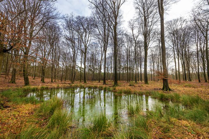 Bekijk foto 50 van Hanendorperweg 354