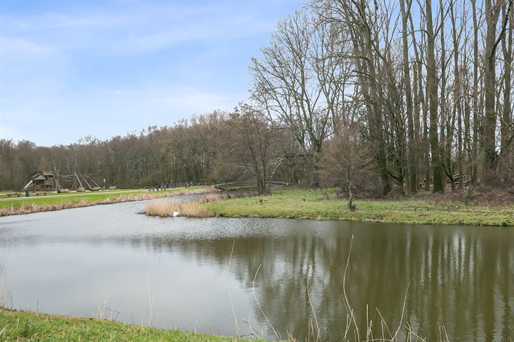 Bekijk foto 35 van Berberisweg 248