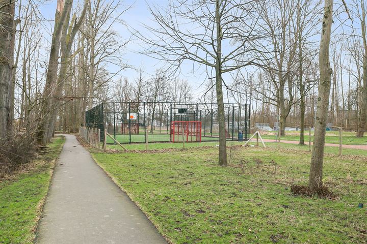 Bekijk foto 34 van Berberisweg 248