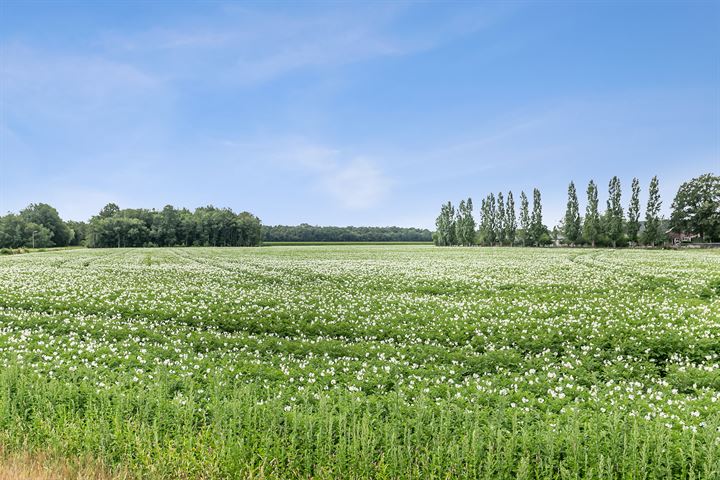 Bekijk foto 79 van Noorder Hoofddiep 12