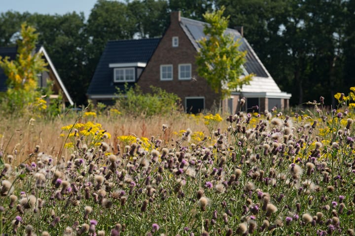 Foto 9 van De Es, kavel 2.17