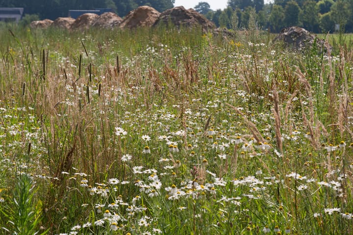 Foto 13 van De Es, kavel 2.17