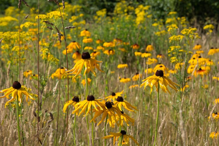 Foto 12 van De Es, kavel 2.17