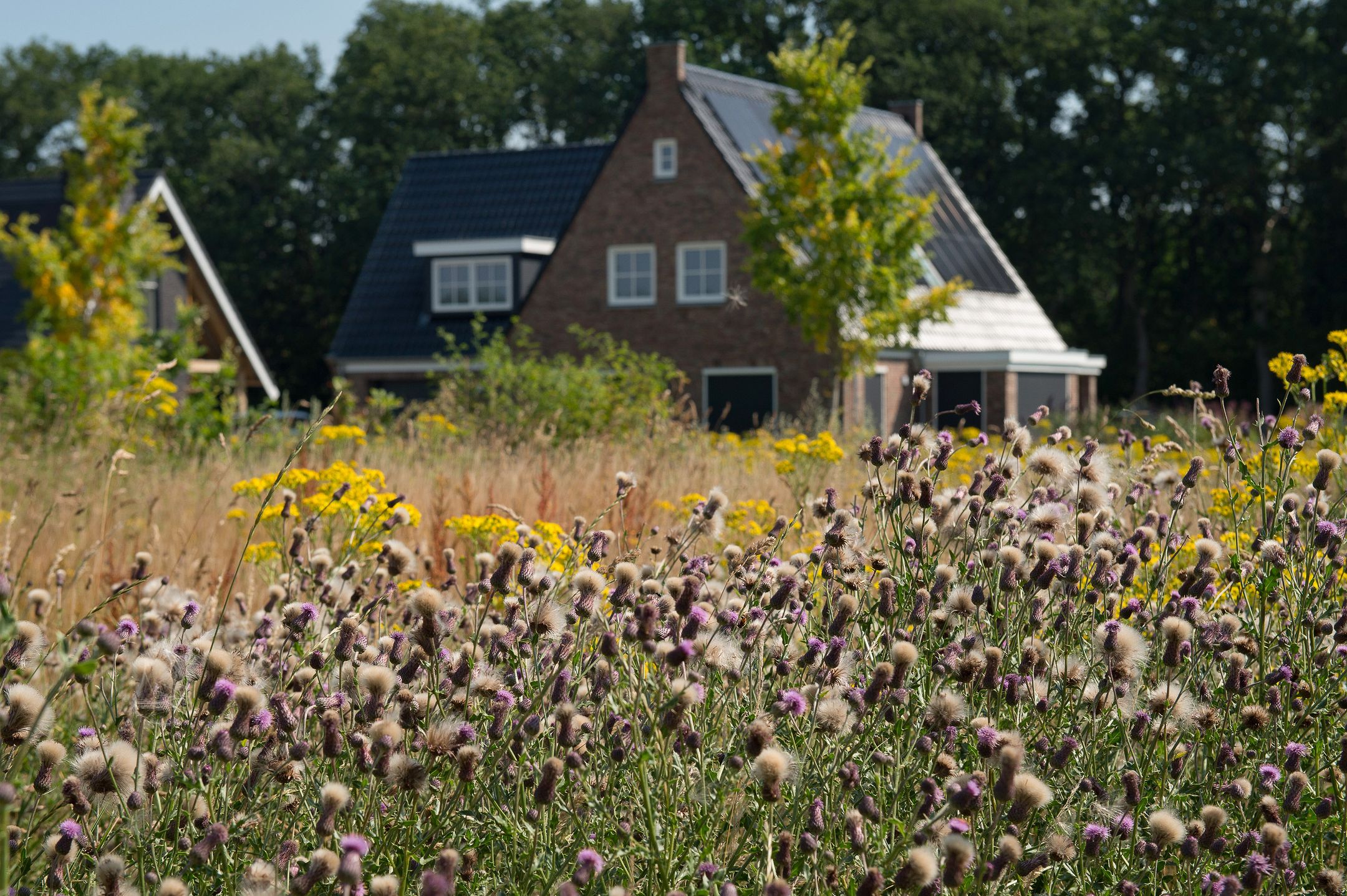 Foto 9 van De Es, kavel 2.18