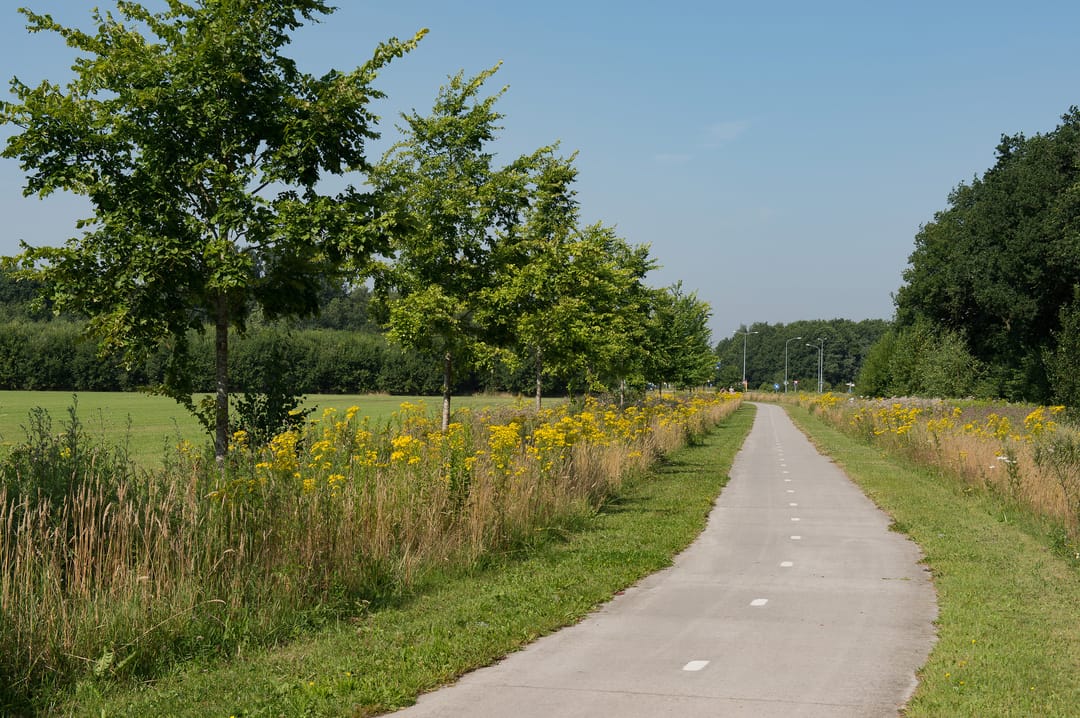 Foto 11 van De Es, kavel 2.18