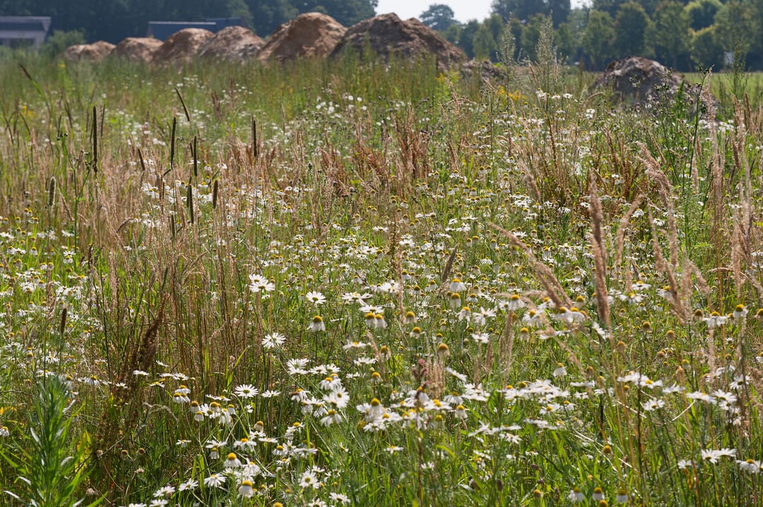 Foto 13 van De Es, kavel 2.19