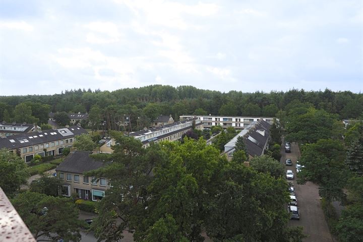 View photo 5 of Kruisbeklaan 85