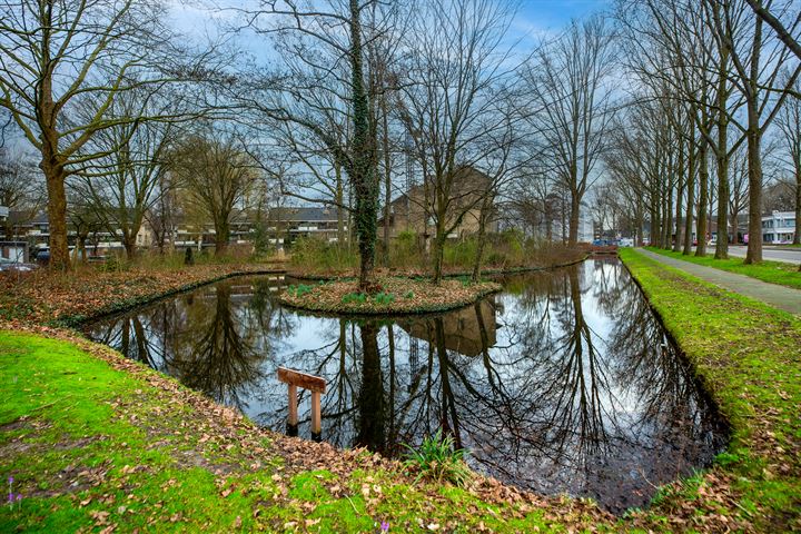 Bekijk foto 32 van Catsveld 21