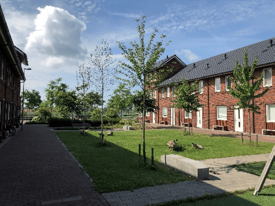 Foto 4 van Moerasstraat