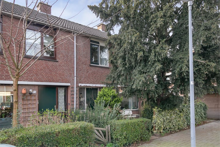 Bekijk foto 2 van Balsemkruid 93