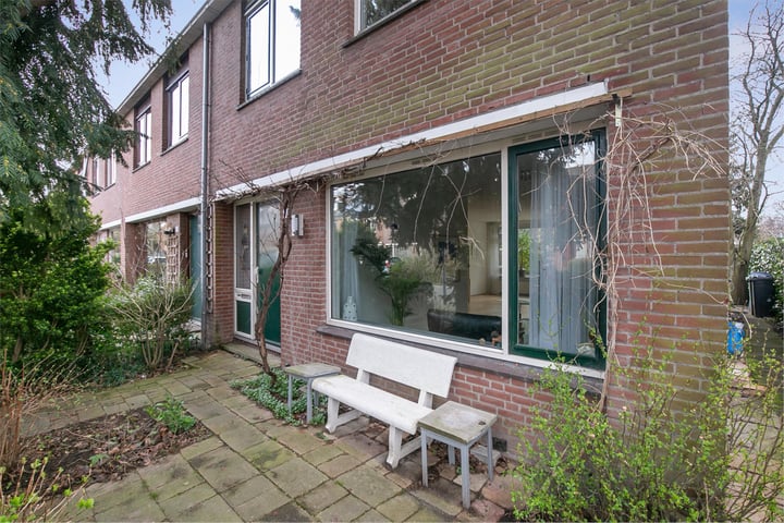 Bekijk foto 3 van Balsemkruid 93