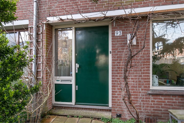 Bekijk foto 4 van Balsemkruid 93