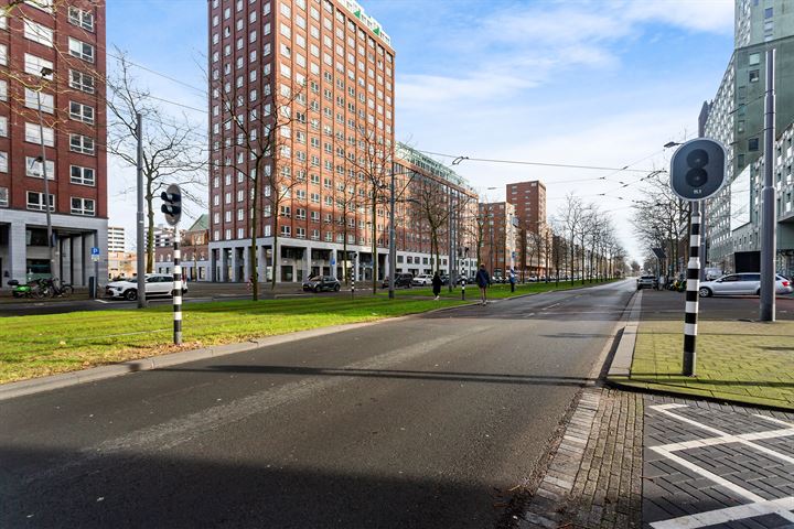 Bekijk foto 25 van Laan op Zuid 238-INCL PP