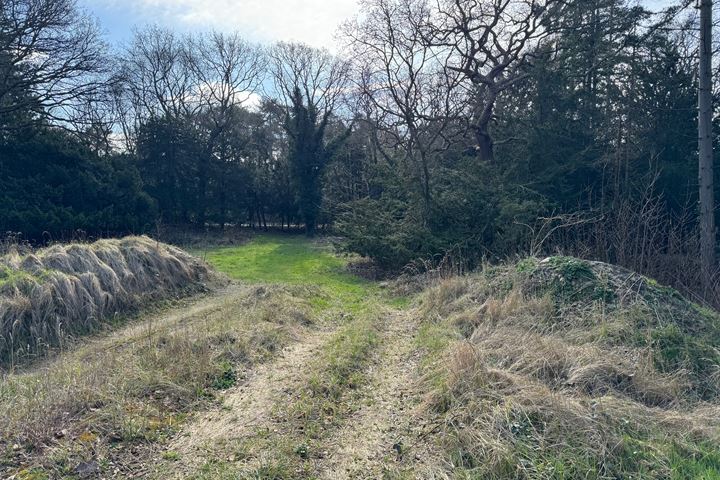 Bekijk foto 6 van Groot Haesebroekseweg 6