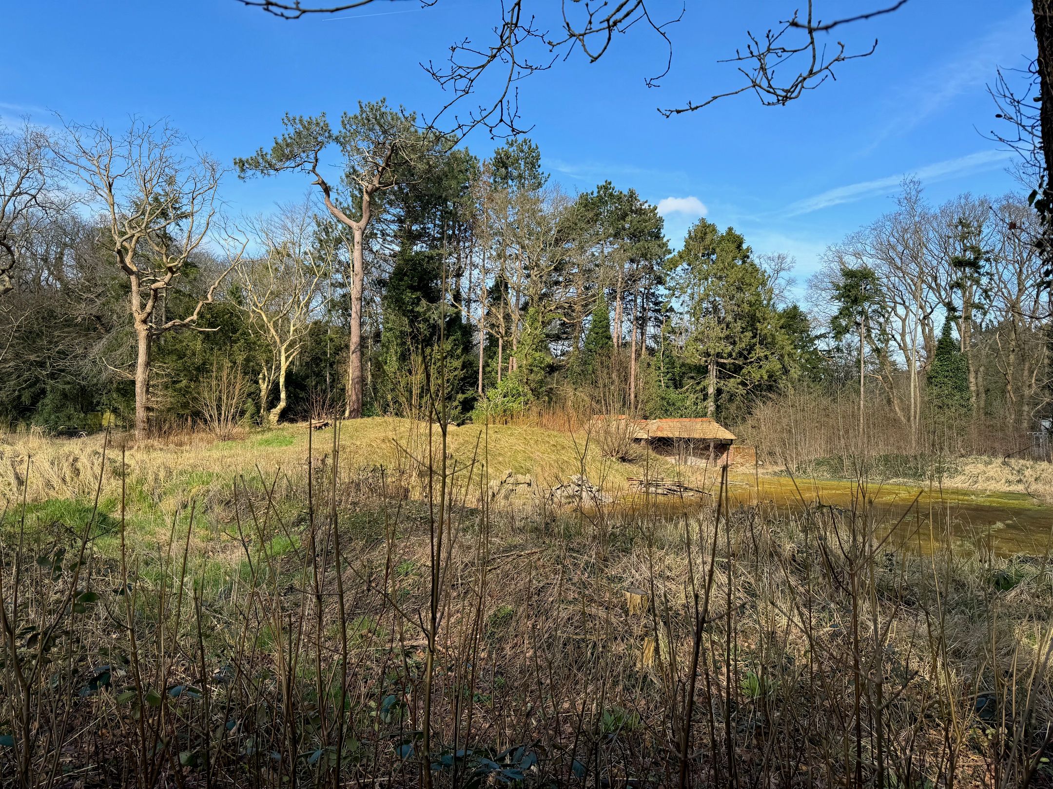 Foto 3 van Groot Haesebroekseweg 6