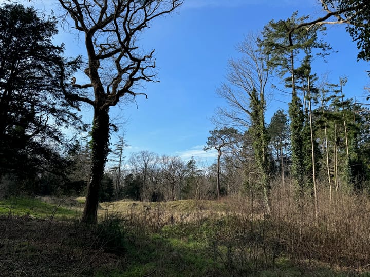 Foto 10 van Groot Haesebroekseweg 6