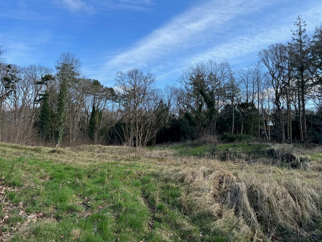 Foto 7 van Groot Haesebroekseweg 6