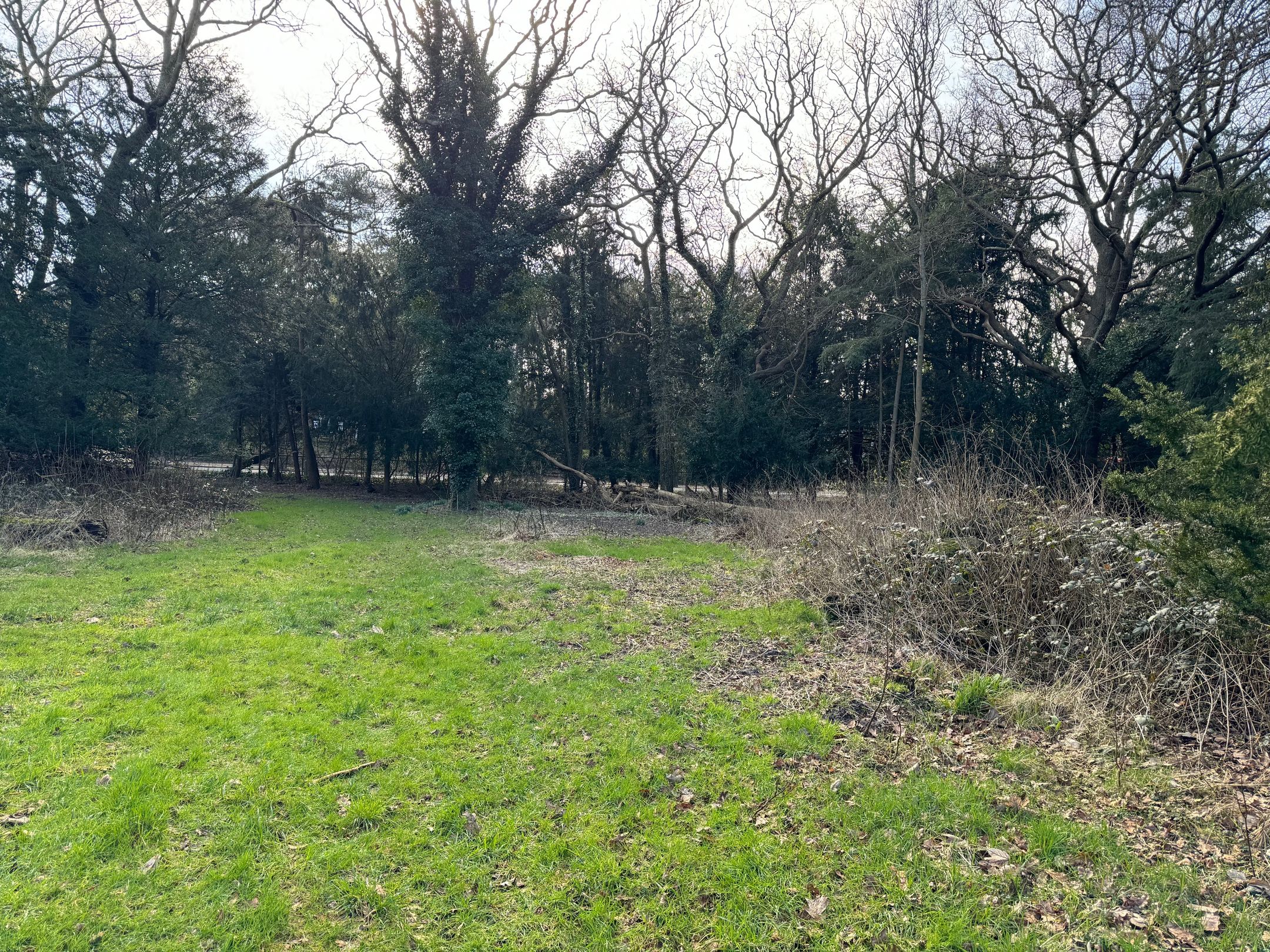 Foto 9 van Groot Haesebroekseweg 6