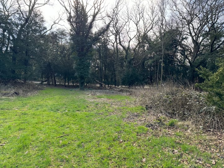 Foto 9 van Groot Haesebroekseweg 6