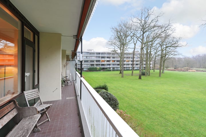 Foto 4 van Stoeplaan 11-F29