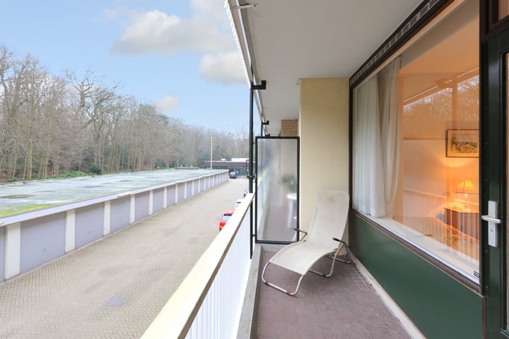 Foto 13 van Stoeplaan 11-F29