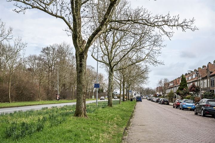 Bekijk foto 45 van Jan Luykenstraat 101