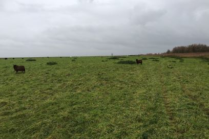 Bekijk foto 5 van Zomerdijk