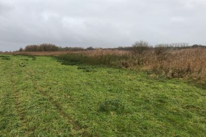 Bekijk foto 3 van Zomerdijk